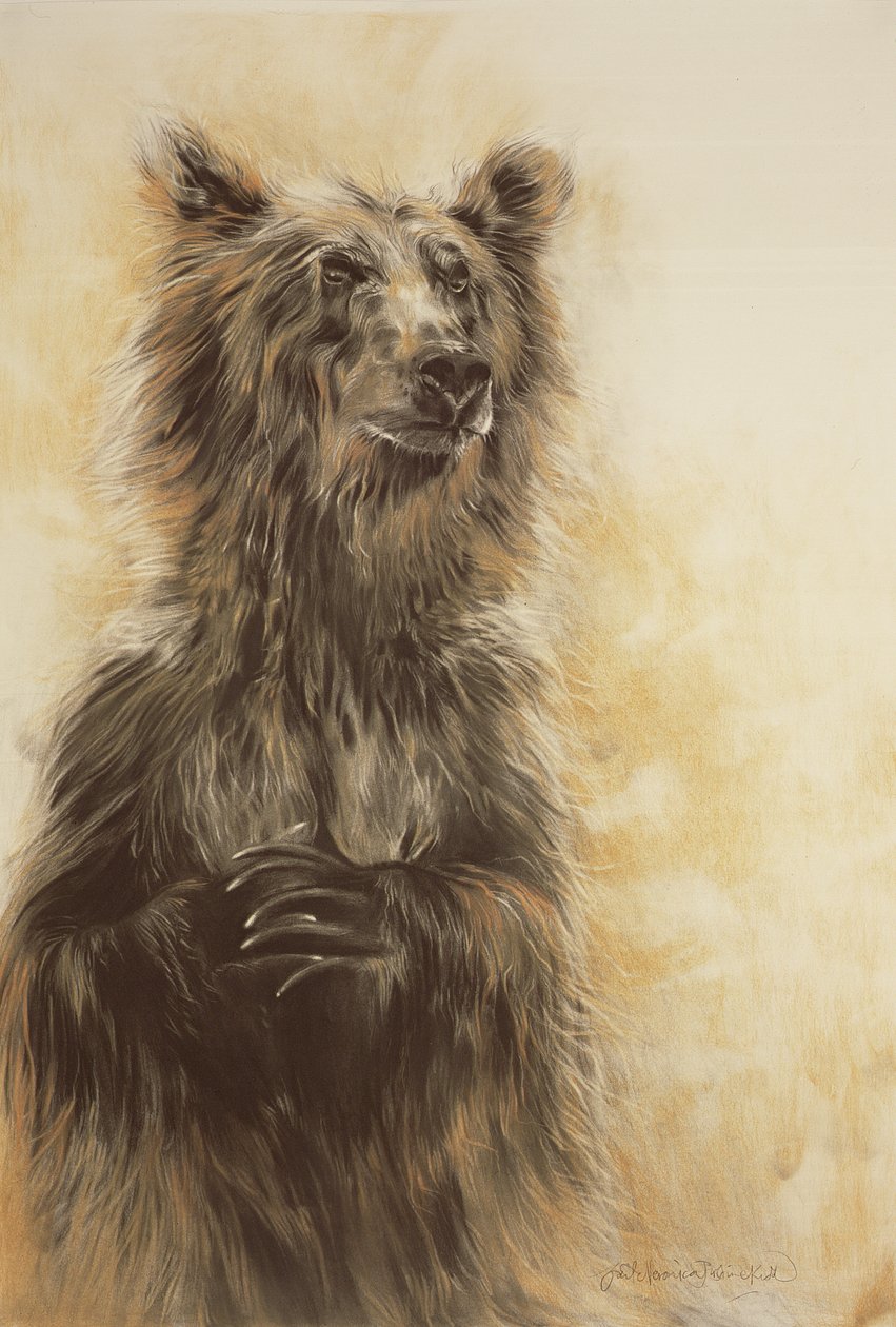 Grizzly Bear 1, 2002 (karbonblyant, kull og kritt) av Odile Kidd