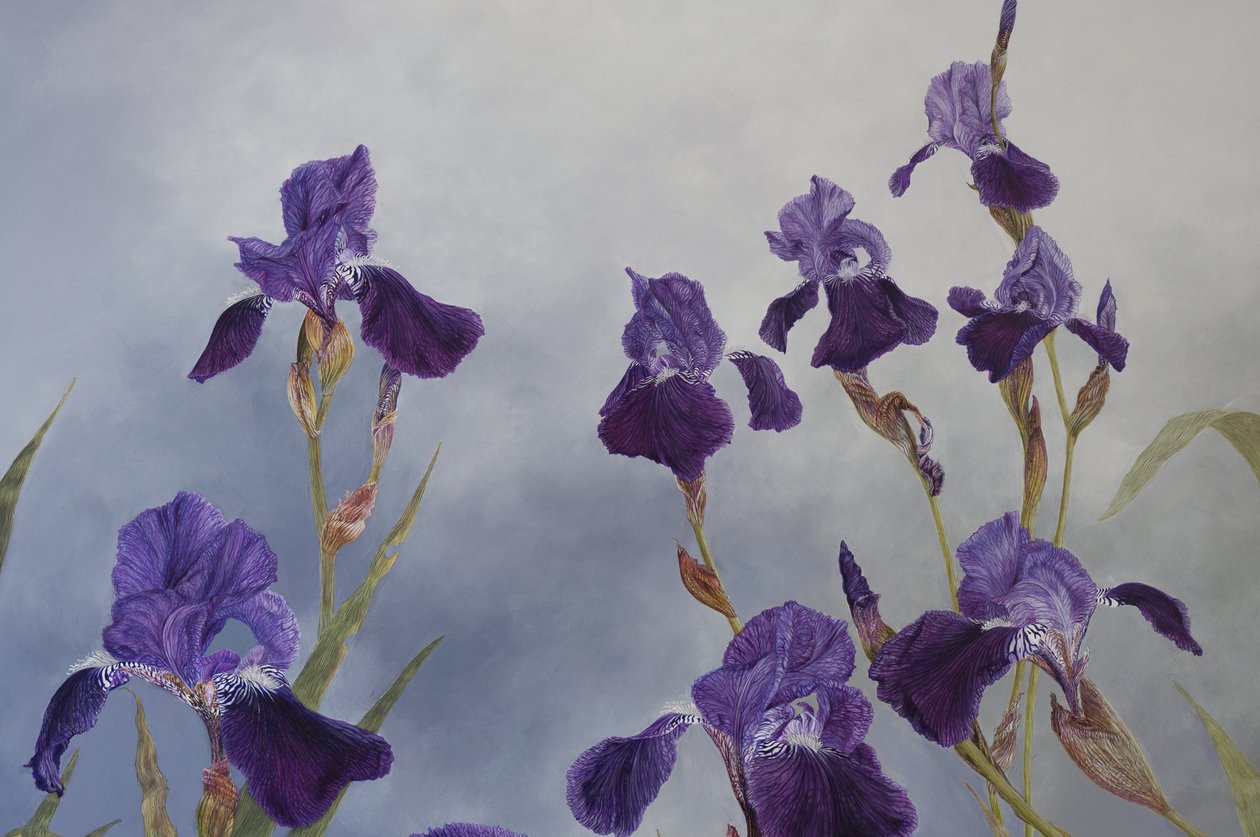  av Odile Kidd