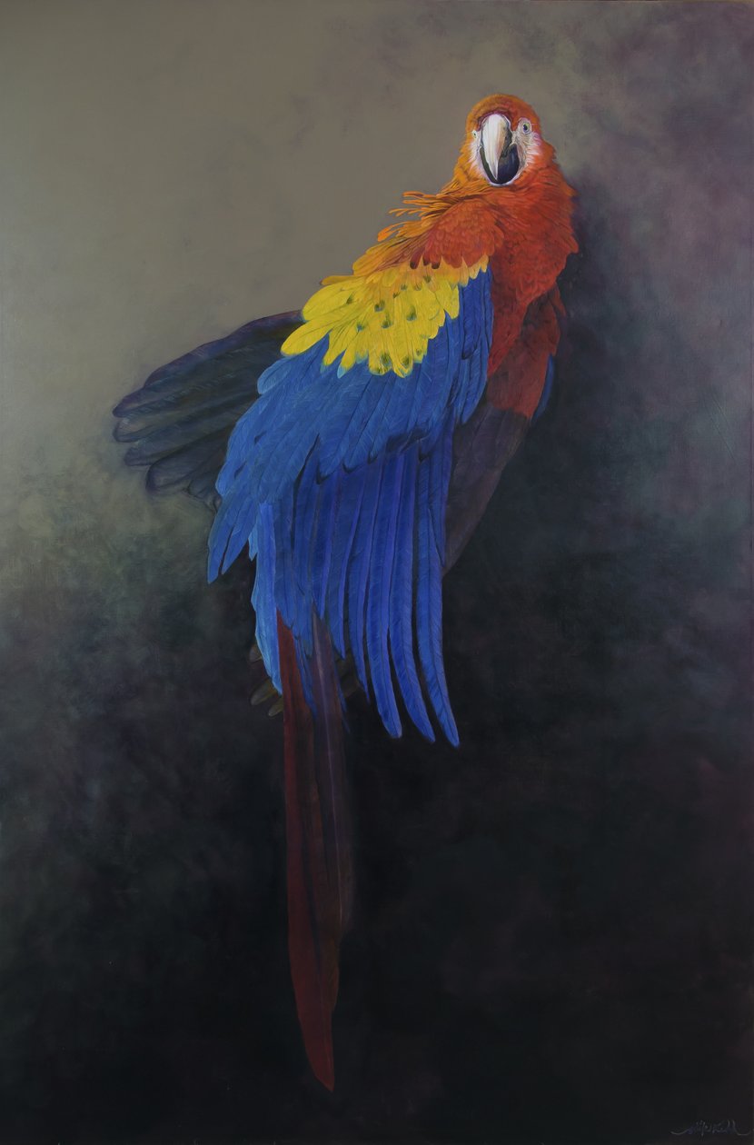  av Odile Kidd