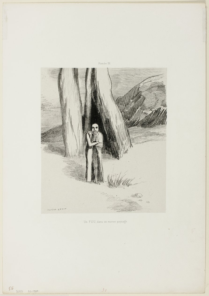 En galning i et dystert landskap, plate 3 av 6 av Odilon Redon