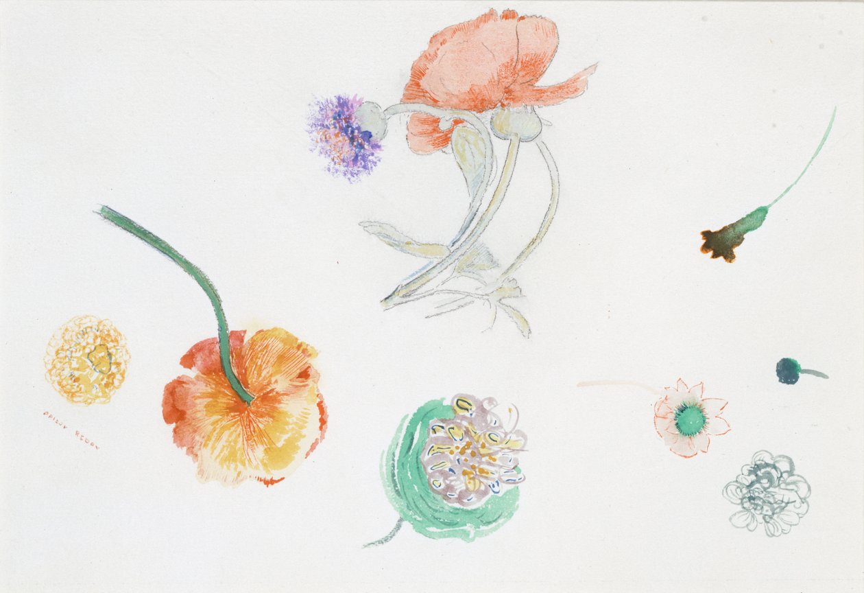 Blomsterskisse av Odilon Redon