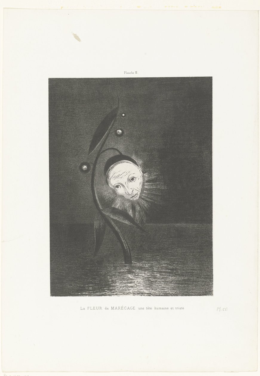 Sumpblomsten, et menneskelig og trist hode La FLEUR du MARÉCAGE une tête humaine et triste (tittel på objekt) av Odilon Redon