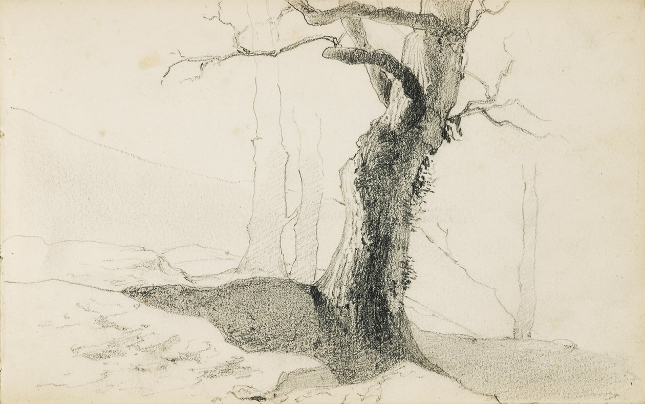Tegning fra et album med tittelen "The Baskerland", 1862-63 av Odilon Redon