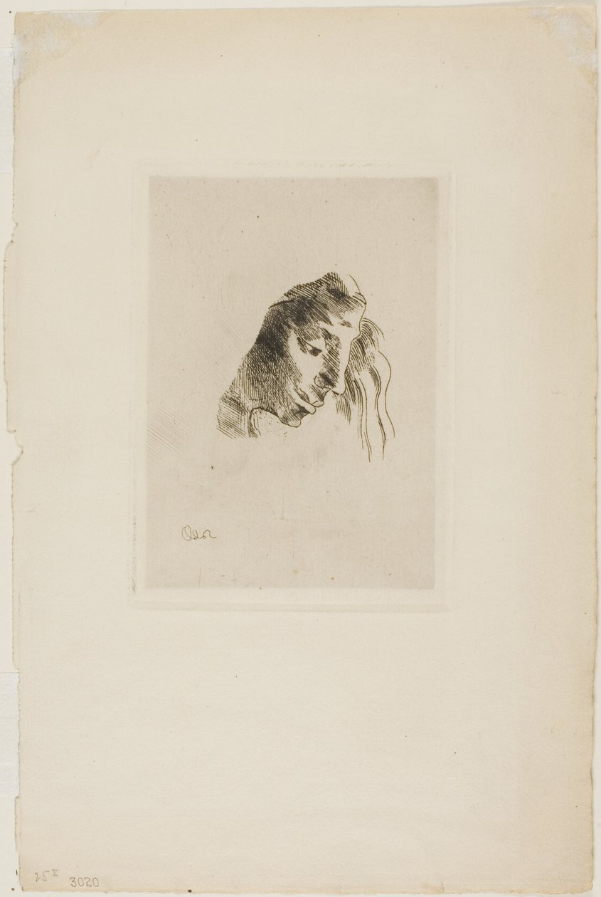 Fra bøker av Odilon Redon