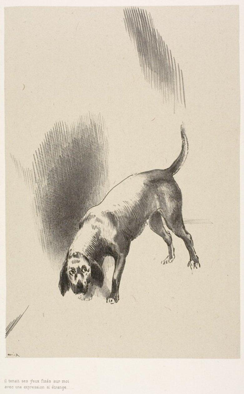  av Odilon Redon