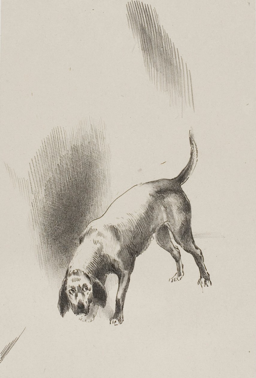 Han [fortellerens hund] holdt blikket festet på meg med et så merkelig blikk, plansje 3 av 6 av Odilon Redon