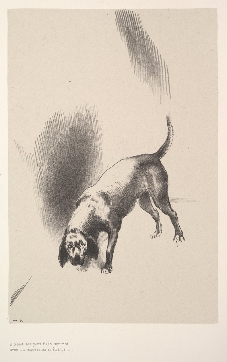 Han festet blikket på meg med et uttrykk som var så rart, 1896. av Odilon Redon