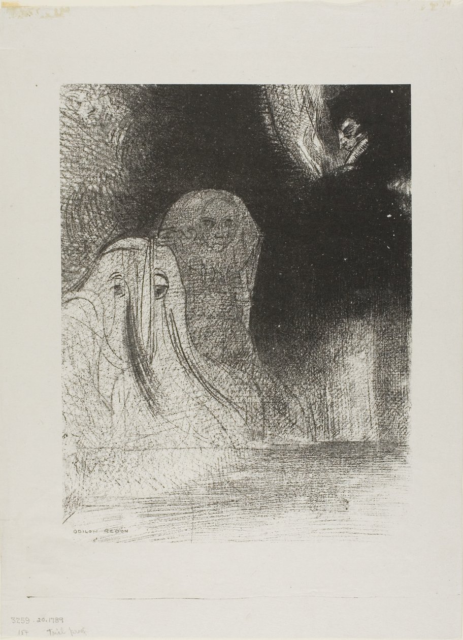 Jeg har noen ganger sett på himmelen det som virket som former for ånder, plate 21 av 24 av Odilon Redon