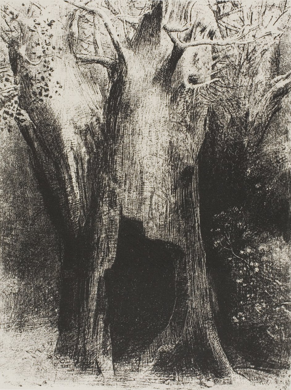 Jeg stupte inn i ensomhet. I Dwelt in the Tree behind Me, plate 9 av 24 av Odilon Redon