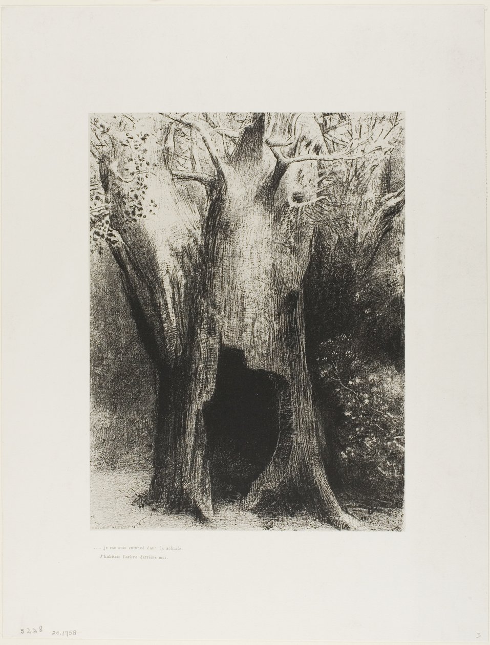 Jeg stupte inn i ensomhet. I Dwelt in the Tree behind Me, plate 9 av 24 av Odilon Redon