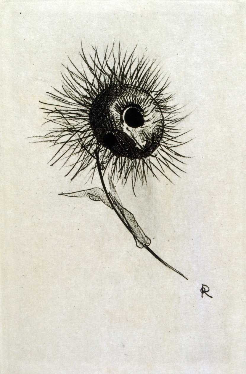 Illustrasjon for 
