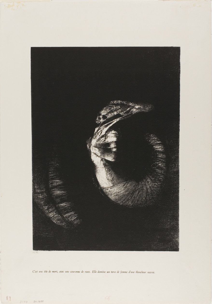 Det er en hodeskalle med roser... av Odilon Redon