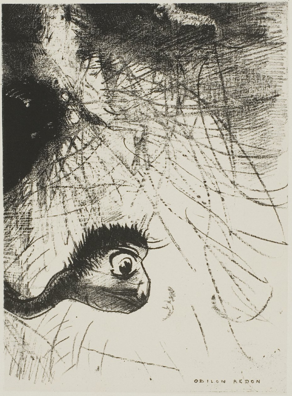 Saint Anthony: "Et sted må det være primordiale former hvis kropper bare er bilder, plate 4 av 6 av Odilon Redon