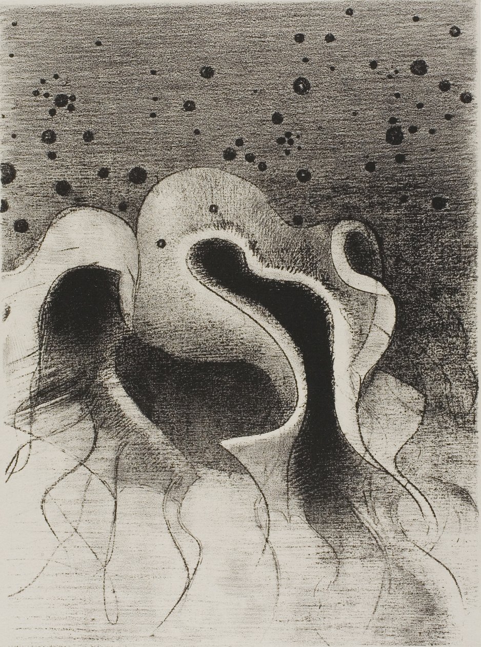 Havets dyr, runde som skinnflasker, plate 22 av 24 av Odilon Redon