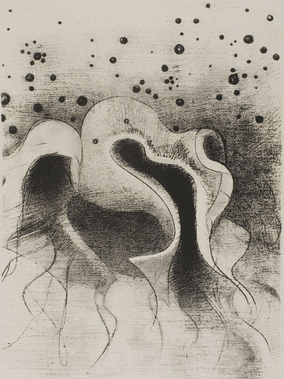 Havets dyr, runde som skinnflasker, plate 22 av 24 av Odilon Redon