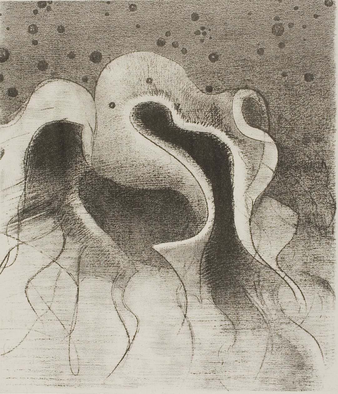 Havets dyr, runde som skinnflasker, plate 22 av 24 av Odilon Redon