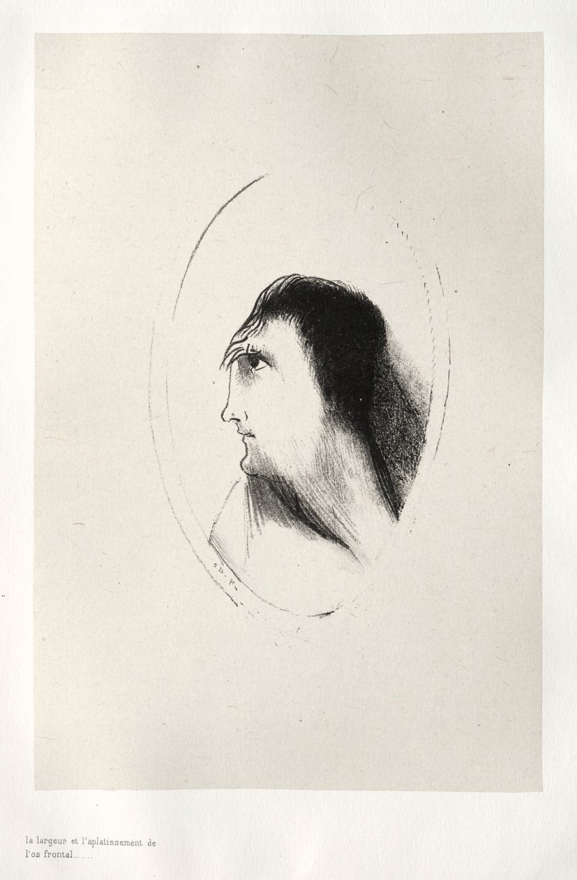 The Haunted House: The Width and Flatness of the [the] Frontal [Bone], 1896. av Odilon Redon