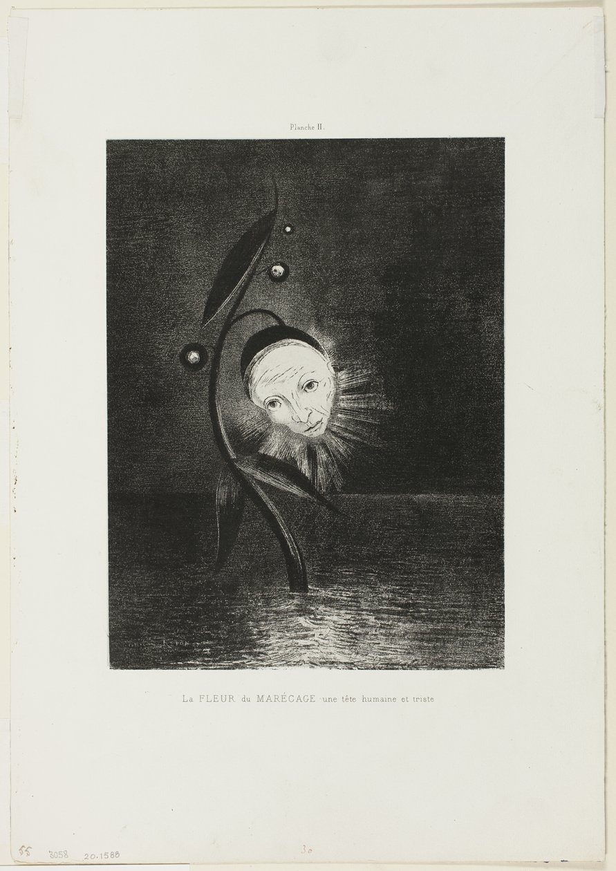 Myrblomsten, et trist menneskehode, plate 2 av 6 av Odilon Redon