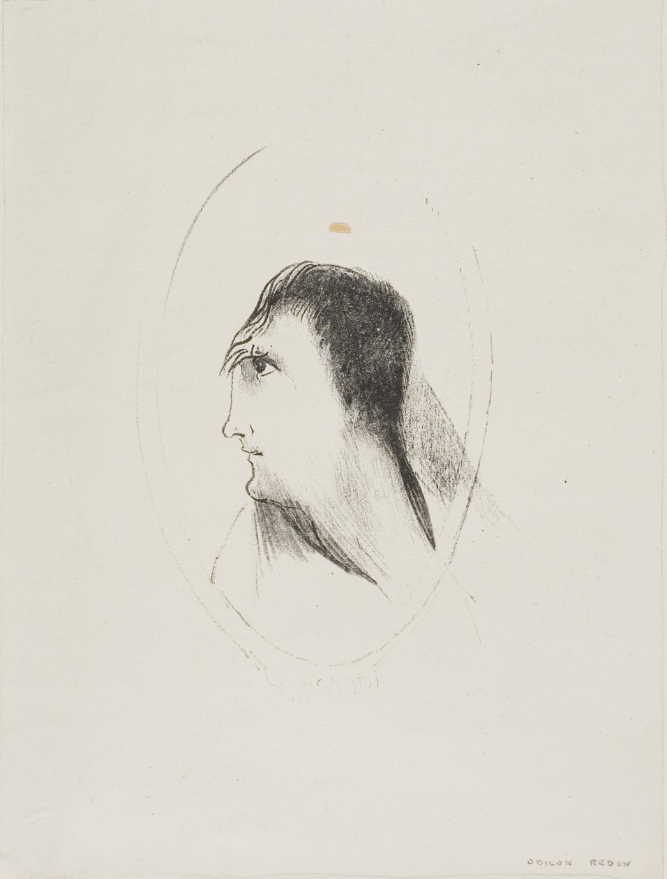 Bredden og flatheten til [den] frontale [benet], plate 6 av 6 av Odilon Redon