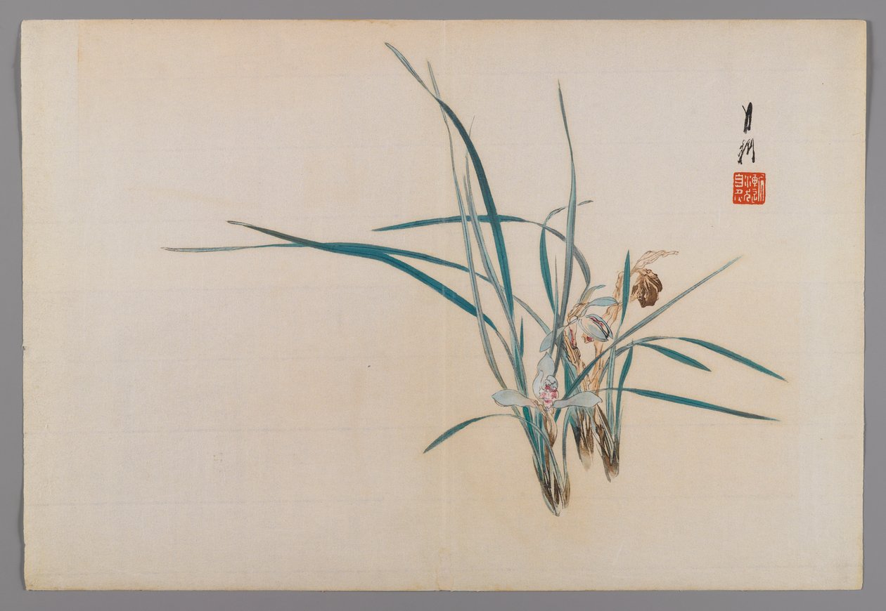 Orkideer, albumside fra en Bird and Flower (Kacho)-bok, ca. 1890-1900 (treblokkfargetrykk med sølvpigment) av Ogata Gekko