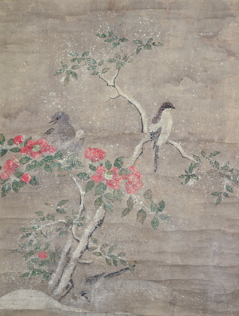 Fugler og kamelia i snø, ca. 1700 (blekk og farger på papir) av Ogawa Haritsu