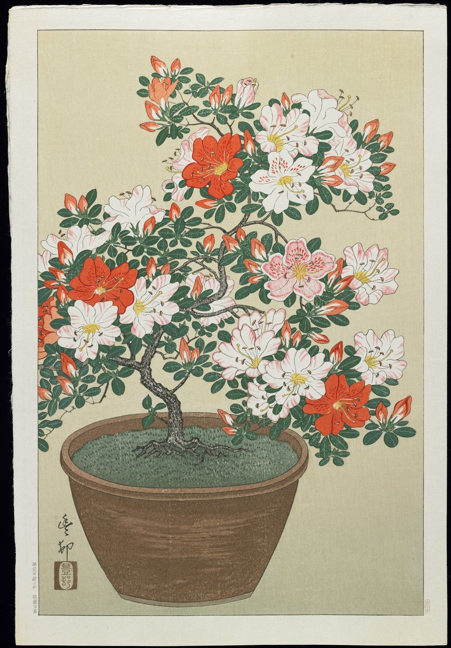 Azalea in Pot, 1930-tallet av Ohara Koson