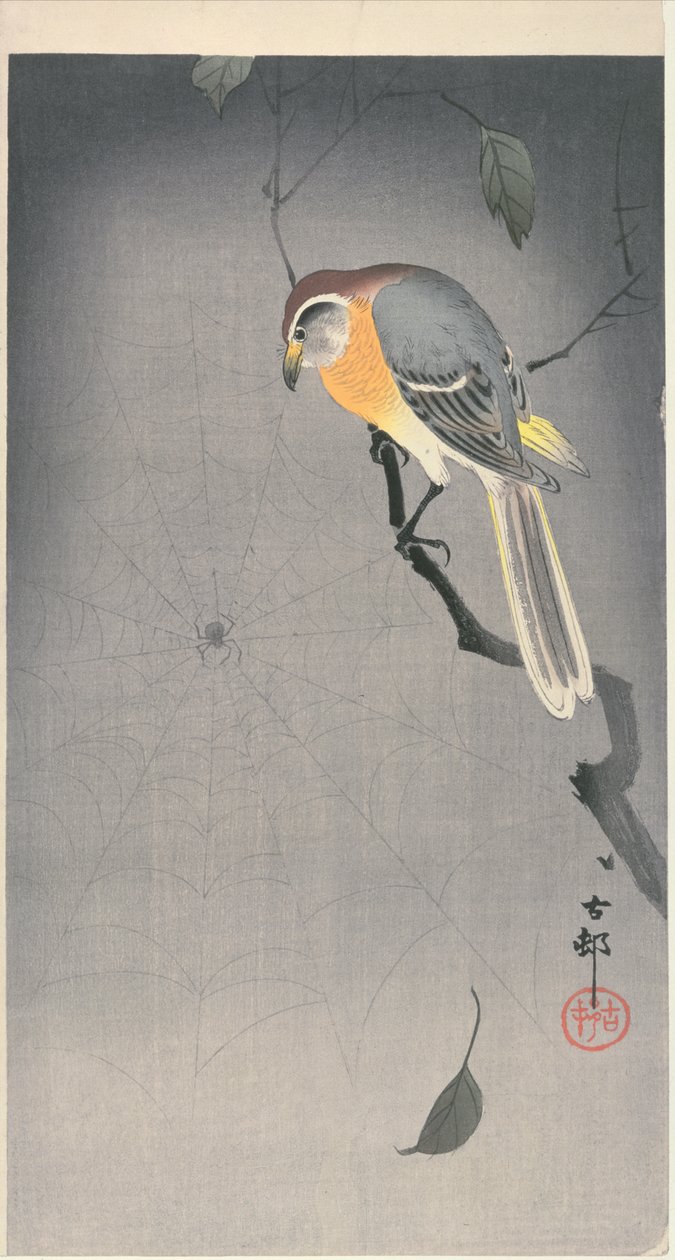 Fugl på en gren som ser på en edderkopp, ca. tidlig på 1900 (farget treblokktrykk) av Ohara Koson