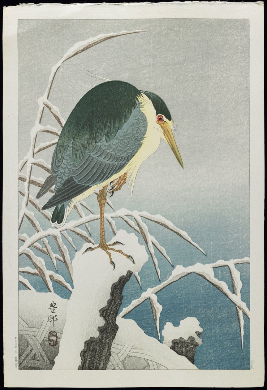 Svartkronet natthegre i snø, 1930-tallet av Ohara Koson