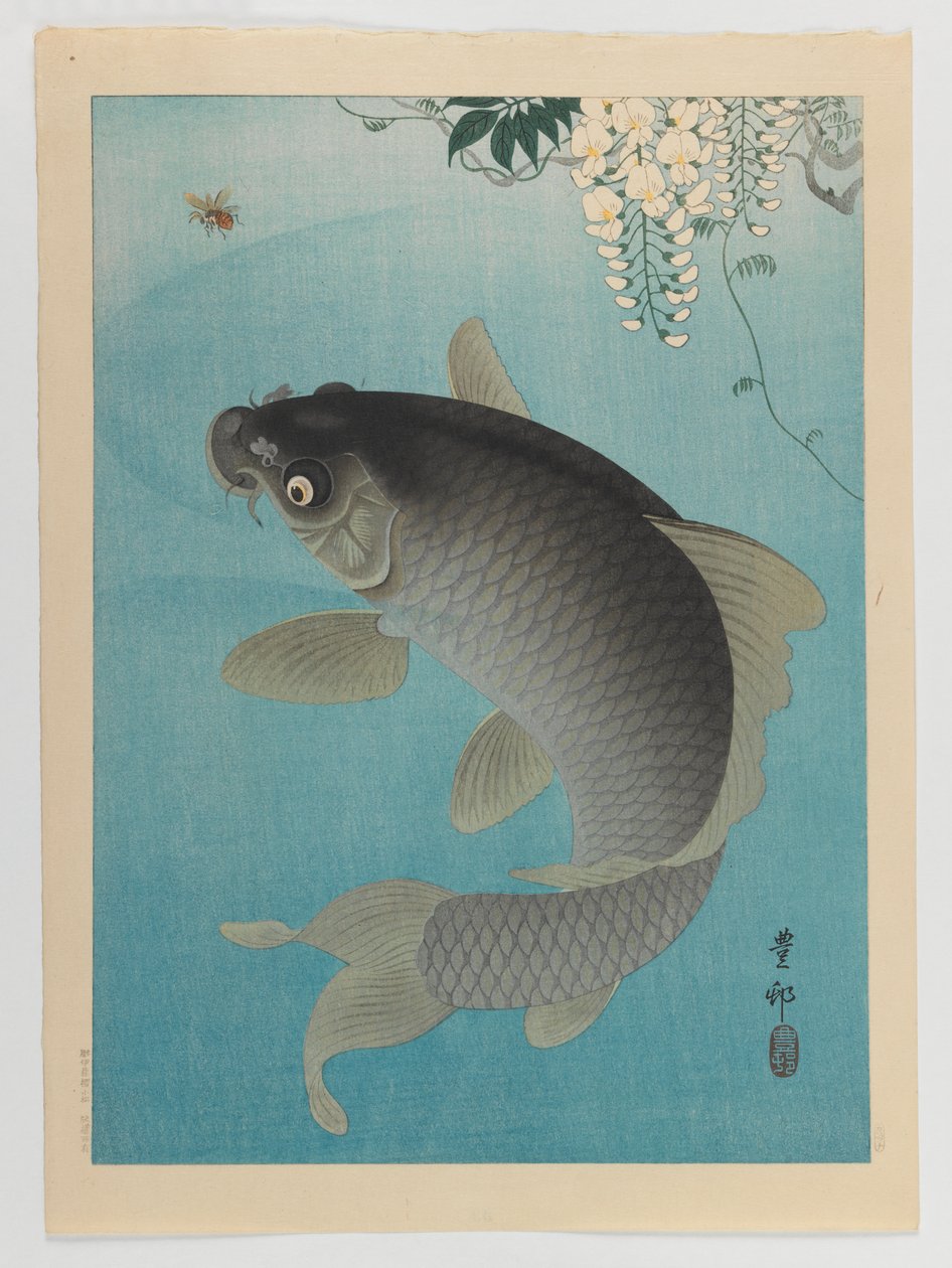 Carp Beneath Wisteria, ca. 1935 (fargetrykk av treblokk) av Ohara Koson