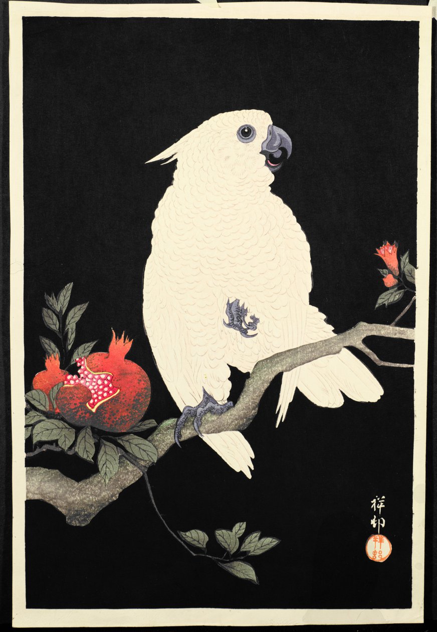 Kakadu og granateple, (farget treblokktrykk) av Ohara Koson