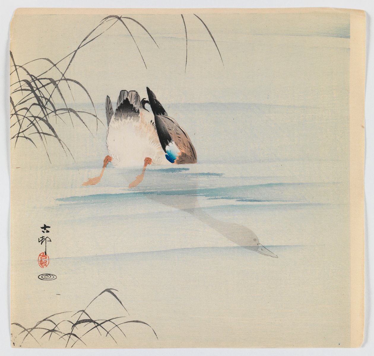 Diving Mallard, ca. 1910 (treblokk fargetrykk) av Ohara Koson