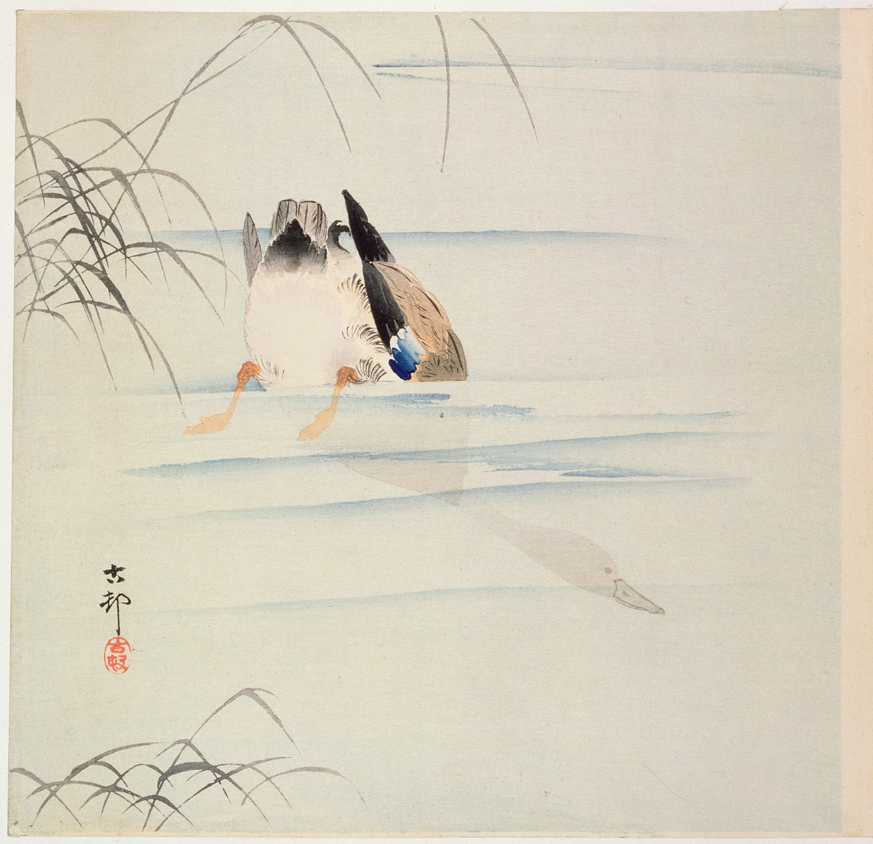 Duck Diving, ca. tidlig på 1900-tallet (farget treblokktrykk) av Ohara Koson
