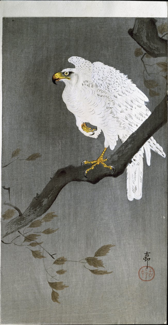 Falcon on a Branch, 1907 av Ohara Koson