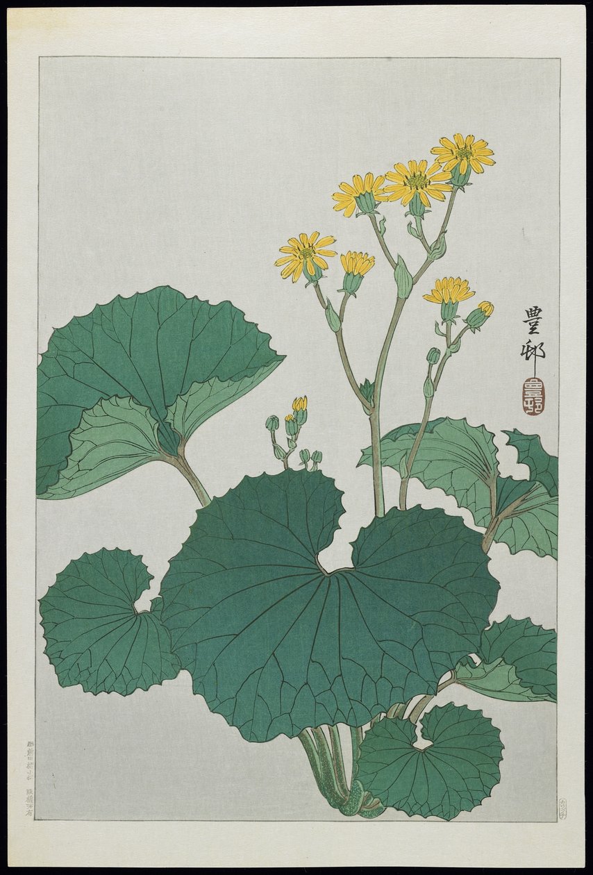 Blomster av japanske sølvblader, 1930-tallet av Ohara Koson