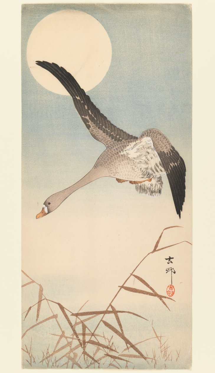 Goose Flying in Moonlight, ca. 1910 (treblokktrykk) av Ohara Koson
