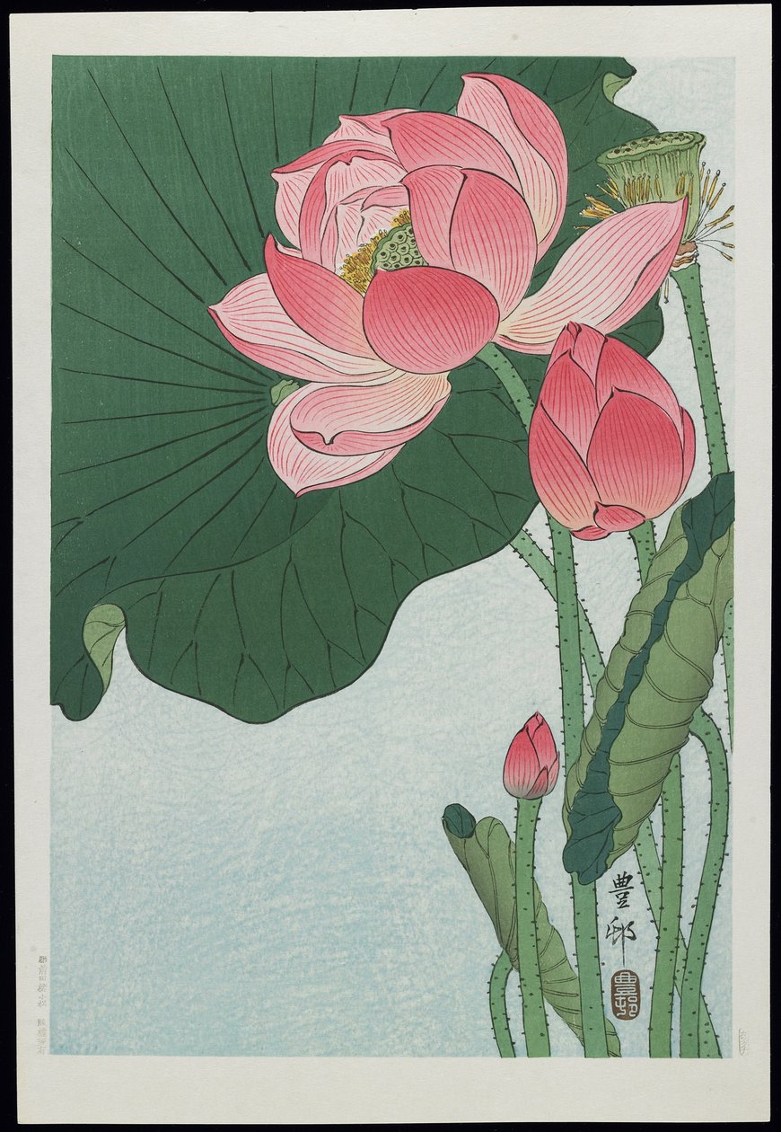 Lotus, 1930-tallet av Ohara Koson