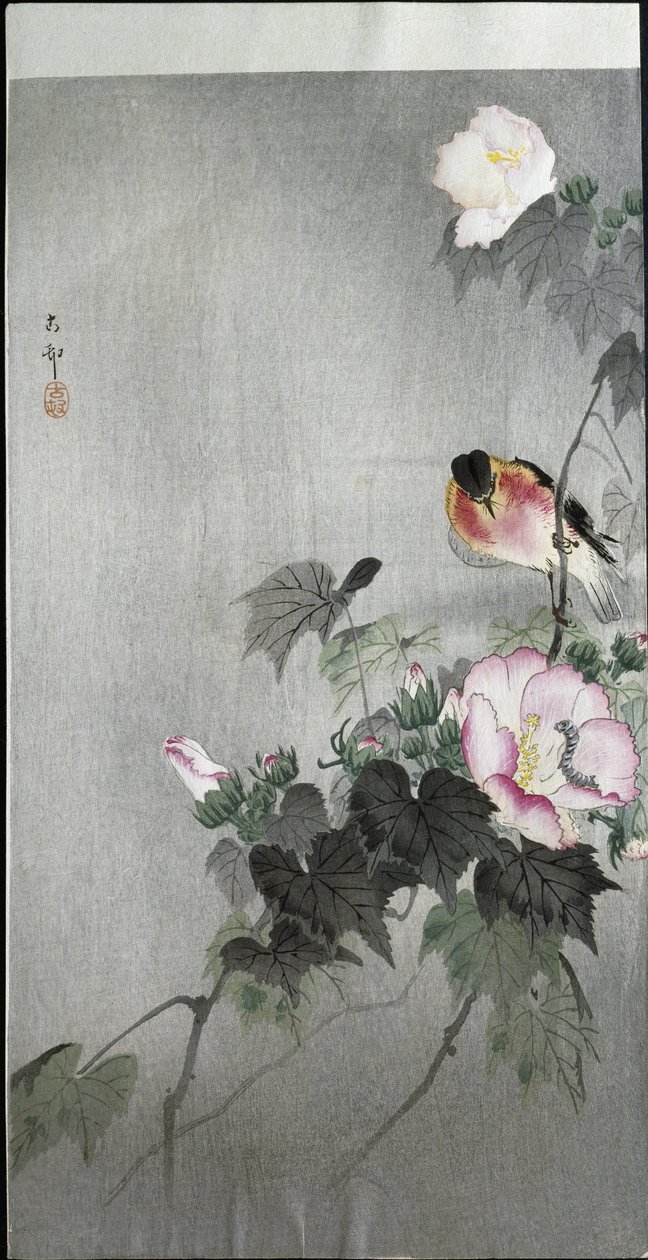 Steinsnakk og blomstrende blomst, 1907 av Ohara Koson