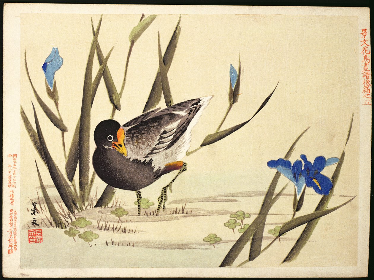 Vadefugl blant siv, (farget treblokktrykk) av Ohara Koson