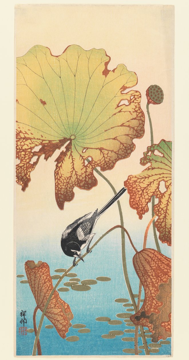 Vipstjert og Lotus, ca. 1915 (treblokktrykk) av Ohara Koson