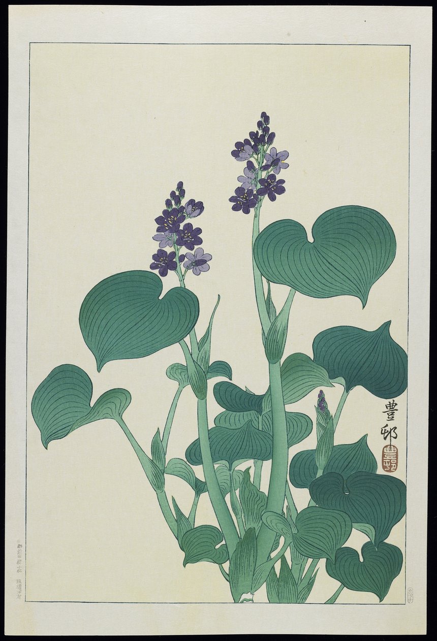 Vann Stokrose, 1930-tallet av Ohara Koson