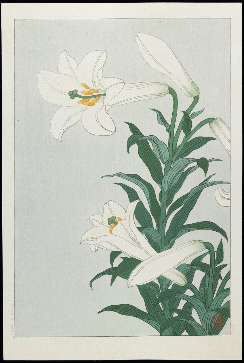 White Lily, 1930-tallet (farget treblokktrykk) av Ohara Koson