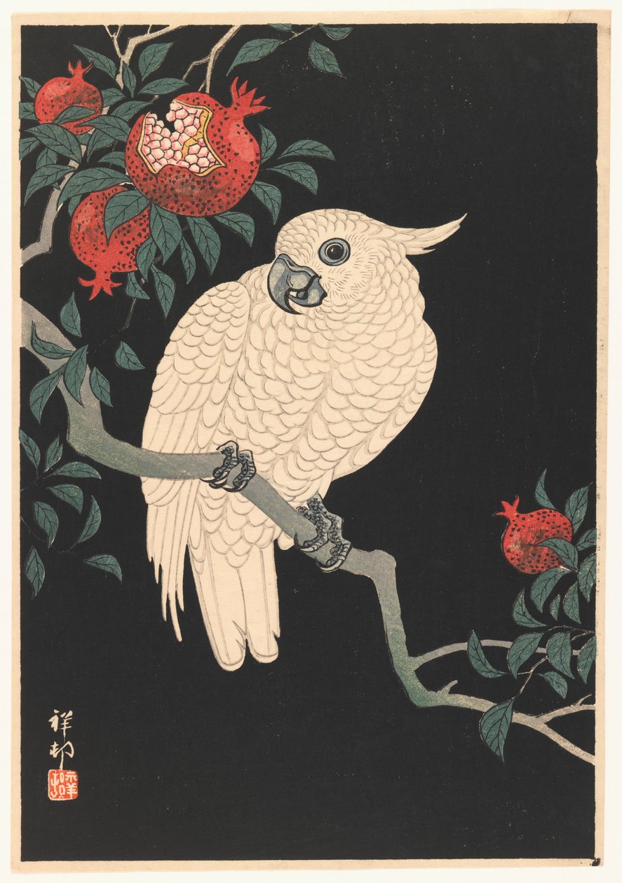 Hvit papegøye og granateple, 1927-1989 (treblokktrykk) av Ohara Koson