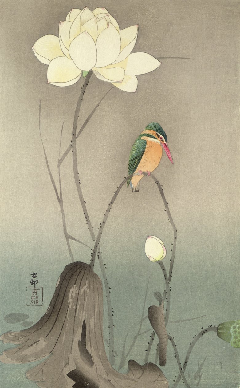 En isfugl og en lotus, ca. 1910, av Ohara Koson
