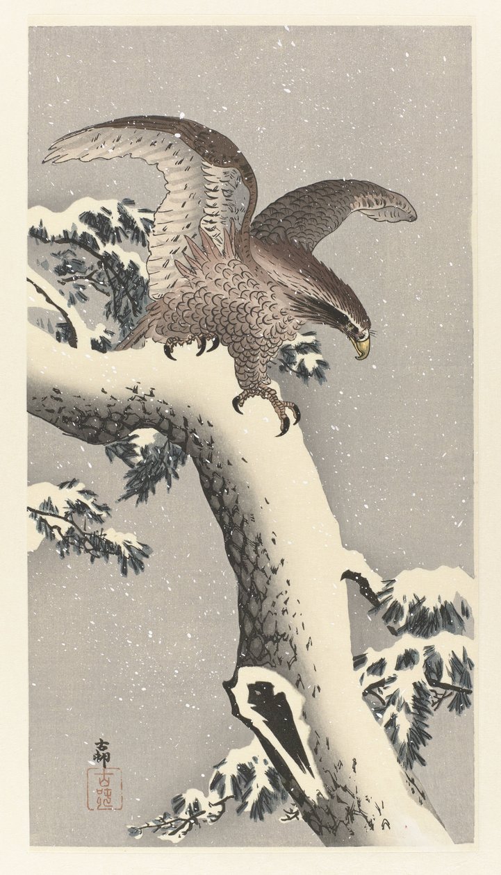 Ørn på snødekt furutre av Ohara Koson