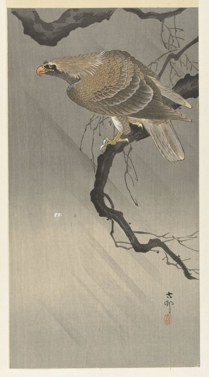 Ørn på gren av Ohara Koson