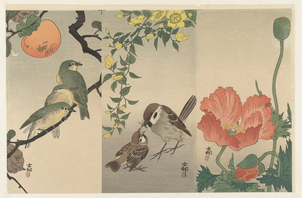 Fugler og planter av Ohara Koson