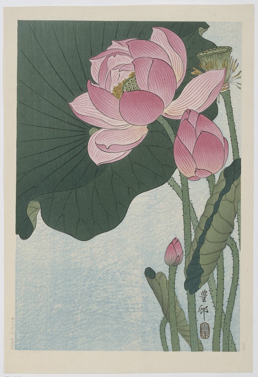 Blomstrende lotusblomster av Ohara Koson