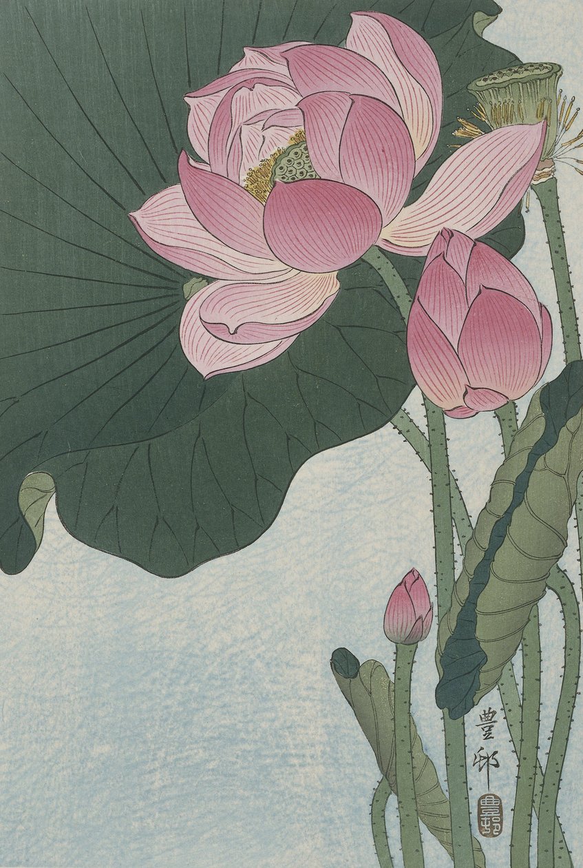 Blomstrende lotusblomster, 1920-30 (fargetresnitt) av Ohara Koson
