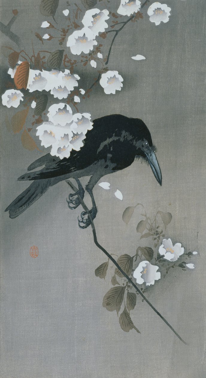 Kråke i en kirsebærblomstgren av Ohara Koson