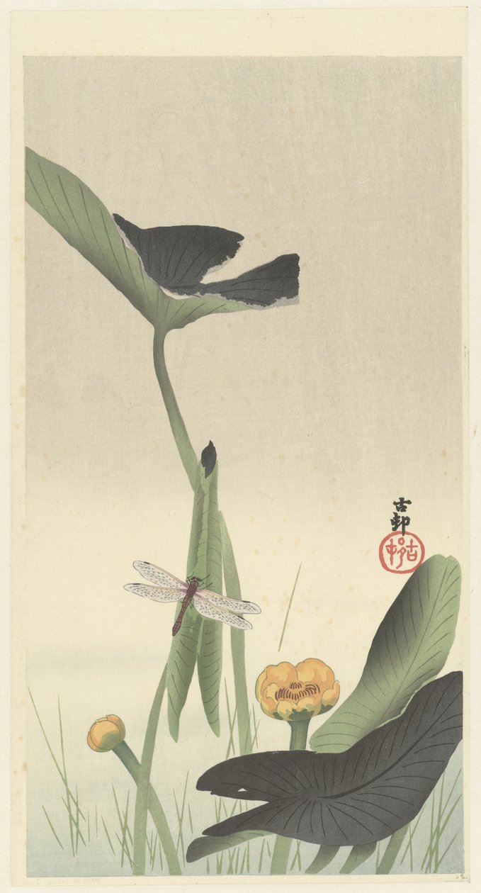Øyenstikker og lotusblomst, ca. 1900-30 (fargetresnitt) av Ohara Koson